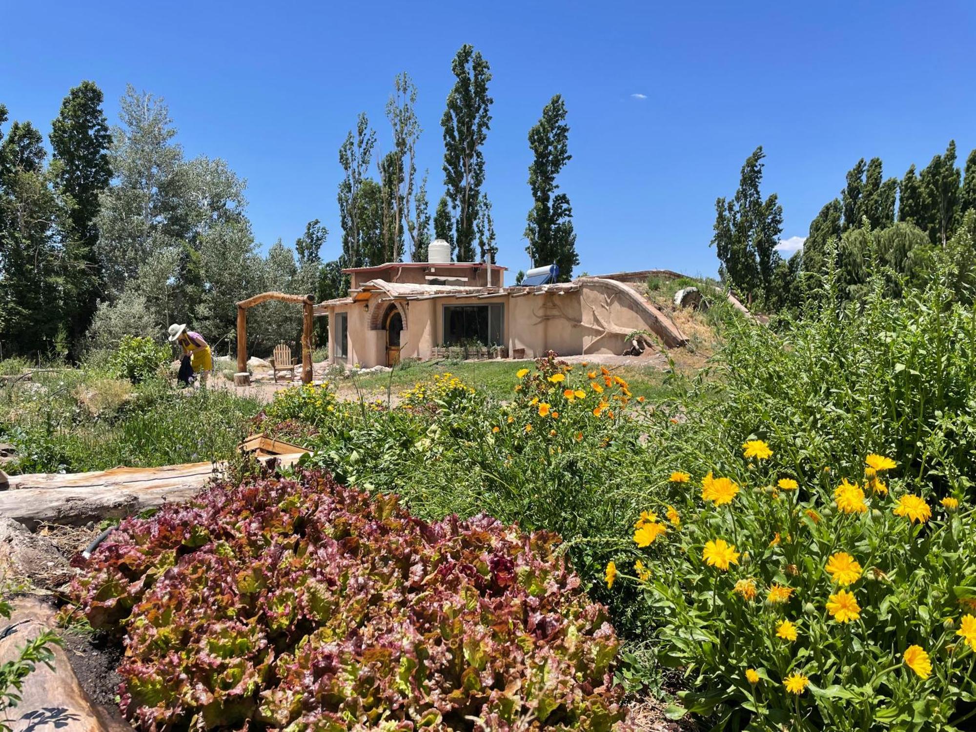 Hotel La Comarca Del Jarillal Las Flores  Zewnętrze zdjęcie